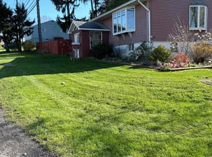 Patrick V.'s Lawn Care service result