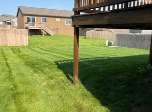 Kristy A.'s Lawn Mowing Service service result
