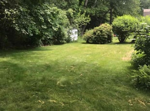 Alberto R.'s Lawn Maintenance service result