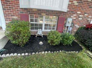 Mulching by Reginald Blue for Imran B. in Nottingham, MD