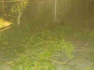 Cleanups by James Owensby for Donna U. in Indianapolis, IN