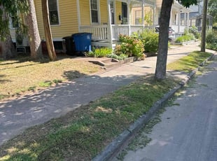 Muriel B.'s Lawn Service service result
