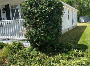 Bush Trimming by Taylor Dodson for Shania B. in Chesapeake, VA