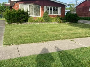 Doug M.'s Lawn Mowing service result