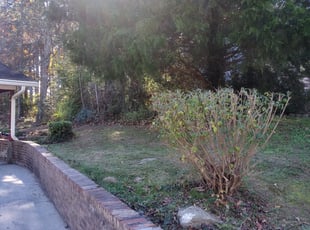Bush Trimming by Ruben Williams for Francine W. in College Park, GA