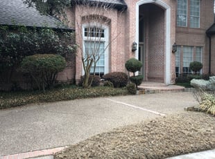 Bush Trimming by Haley Hougen for Cindy S. in Dallas, TX