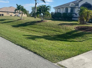 Anthony T.'s Lawn Care service result