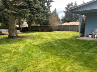 Robin C.'s Grass Cutting service result