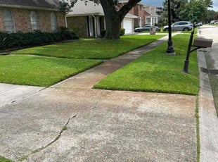 David D.'s Grass Cutting service result