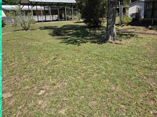 Linda L.'s Lawn Care service result