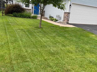 Crystal K.'s Lawn Care service result