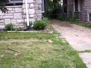 Bush Trimming by Alan Johnson for Chanel F. in Kansas City, MO