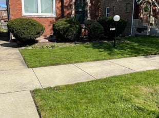 Debra S.'s Lawn Mowing Service service result