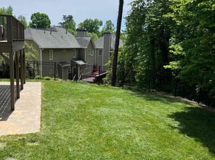 Sarah T.'s Yard Cutting service result