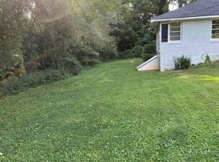 Youn R.'s Yard Cutting service result