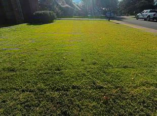 Ms. H.'s Lawn Service service result