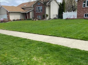 Alex S.'s Lawn Service service result
