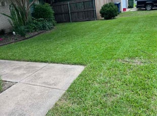 Don G.'s Lawn Mowing Service service result