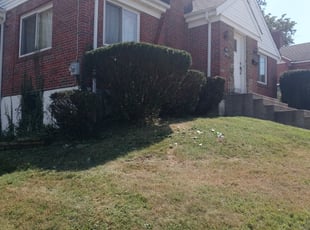 Bush Trimming by Ronald Jacobs for Cheri C. in Cincinnati, OH