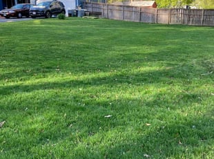 Jennifer N.'s Lawn Service service result