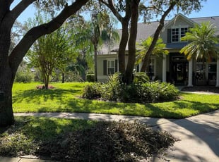 Mary M.'s Lawn Mowing service result