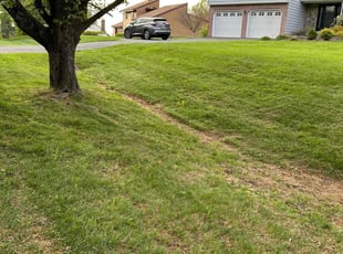 Cleanups by Edwin Villagran for Elaine G. in Damascus, MD