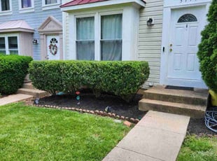 Lynne C.'s Bush Trimming service result