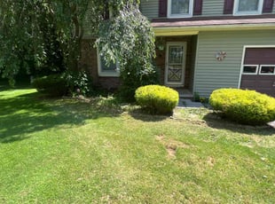 Bush Trimming by Jason Manioci for Stacie M. in Walworth, NY