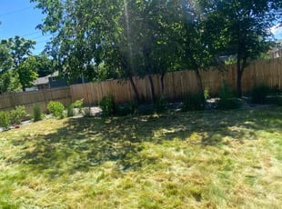 Cleanups by Jonah Fussman for Niecy D. in Wheat Ridge, CO