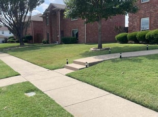 Roland & Kay S.'s Yard Cutting service result