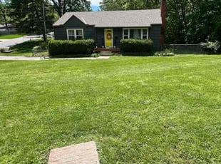 Dominique M.'s Lawn Care service result