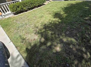 Thomas S.'s Lawn Mowing service result