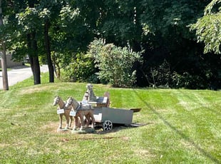 Steve B.'s Lawn Mowing Service service result
