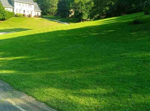 Keitha B.'s Lawn Care service result