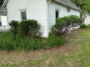 Bush Trimming by Chad Haslett for Dianna W. in Clearwater, KS