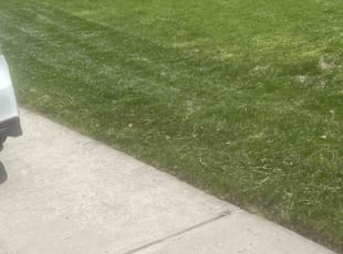 Kelvin A.'s Lawn Maintenance service result