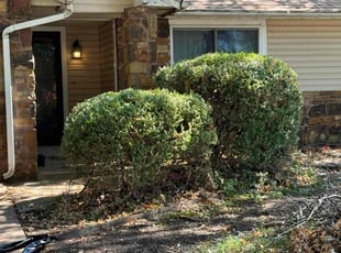 Bush Trimming by Imunique Hill for Joey S. in Broken Arrow, OK