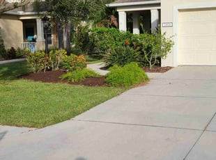 Sierra M.'s Lawn Care service result
