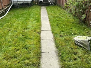 Cynthia W.'s Lawn Mowing service result