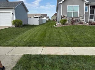 Scott R.'s Lawn Mowing service result
