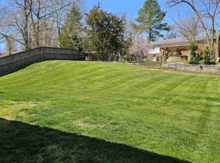 Phillena Q.'s Lawn Care service result
