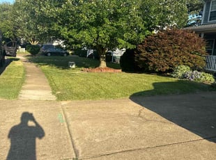cheryl m.'s Lawn Maintenance service result