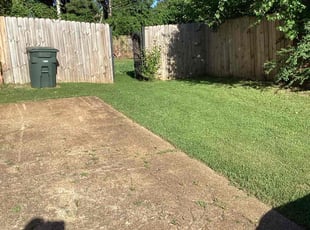 Fernando B.'s Lawn Service service result