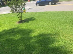 John H.'s Lawn Care service result