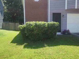 Bush Trimming by Debra Walker for Monica S. in Decatur, GA