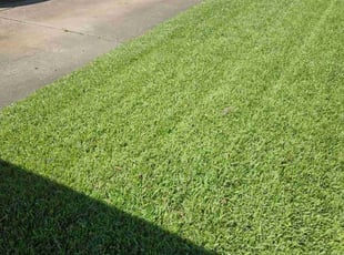 Cynthia P.'s Lawn Care service result