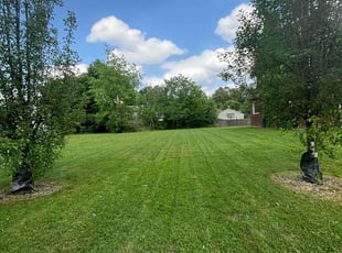 Traci C.'s Lawn Mowing service result