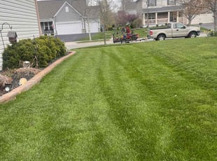 Bill S.'s Lawn Care service result