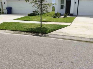 Lichelle A.'s Lawn Mowing Service service result