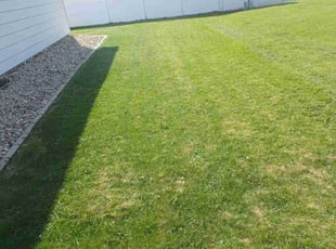 Keith H.'s Lawn Mowing service result